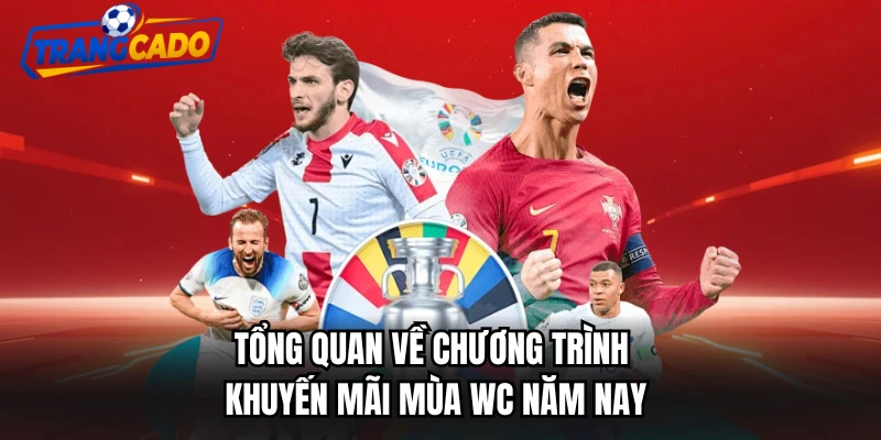 Tổng quan về chương trình khuyến mãi mùa WC năm nay