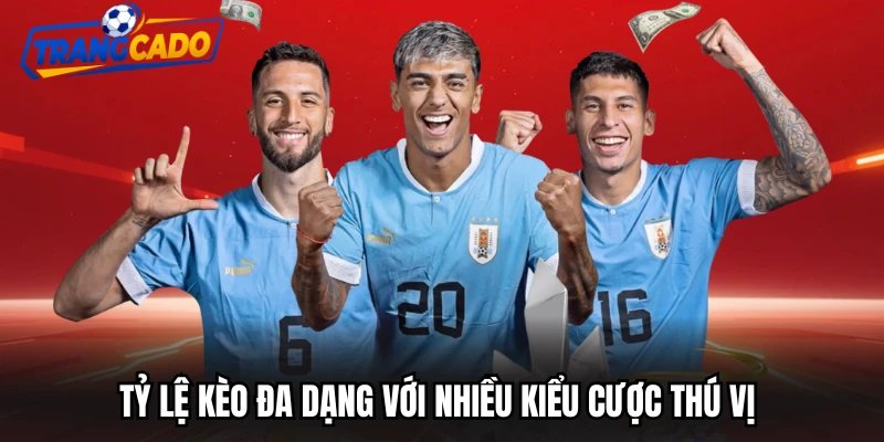 Tỷ lệ kèo đa dạng với nhiều kiểu cược thú vị