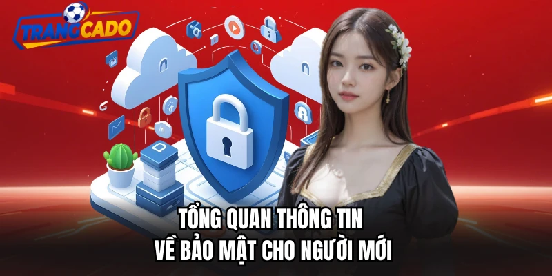 Tổng quan thông tin về bảo mật cho người mới